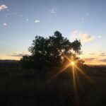Fort Collins Early Settlement/Town Beginnings (Riding Tour) - A Closer Look at the Fort Collins Early Settlement Tour