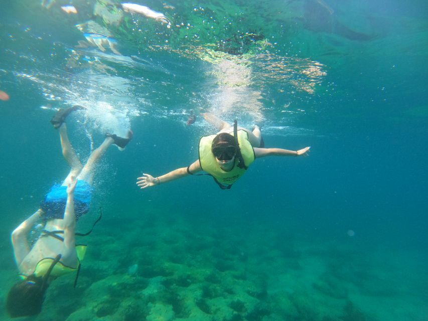 Fort Lauderdale: Guided Snorkeling Reef Tour and Lesson - Final Thoughts
