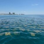 Fort Lauderdale: Parasailing on Fort Lauderdale Beach - Final thoughts