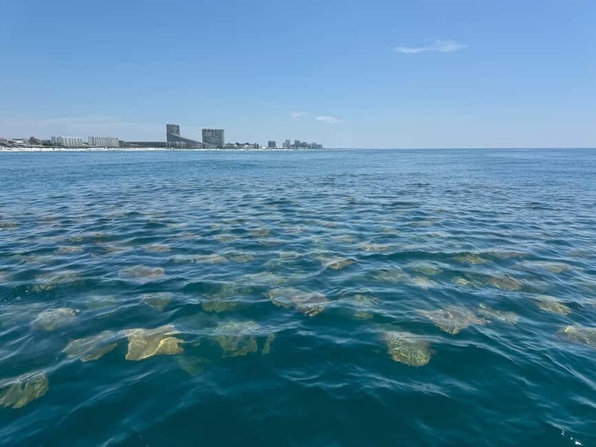 Fort Lauderdale: Parasailing on Fort Lauderdale Beach - Final thoughts