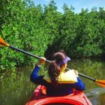 Fort Lauderdales Tropical Kayak Tour and Island Adventure - The Sum Up: Is It Worth Your Time?
