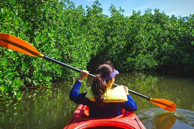 Fort Lauderdales Tropical Kayak Tour and Island Adventure - The Sum Up: Is It Worth Your Time?