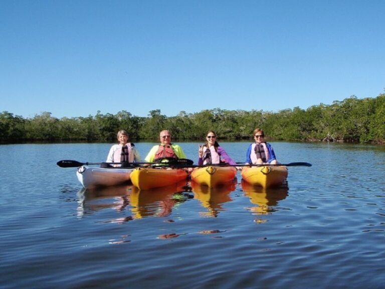 Fort Myers: Guided Kayak or SUP Tour in Pelican Bay - Value and Practical Tips