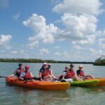 Fort Myers: Guided Kayaking Eco Tour in Pelican Bay - Exploring the Experience in Detail