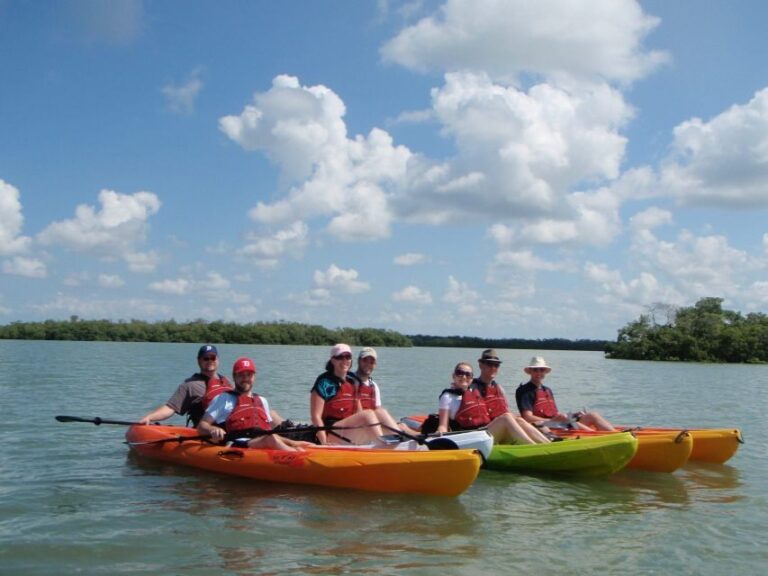Fort Myers: Guided Kayaking Eco Tour in Pelican Bay - Exploring the Experience in Detail