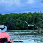 Fort Pierce: 4-hr Mangroves & Dolphin Watch Sandbar in FL - The Itinerary: What Makes Each Part Special