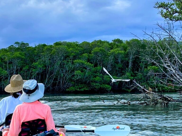 Fort Pierce: 4-hr Mangroves & Dolphin Watch Sandbar in FL - The Itinerary: What Makes Each Part Special