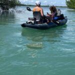 Fort Pierce: 6-hr Mangroves, Coastal Rivers & Wildlife in FL - Final Thoughts: Is It Worth the Price?