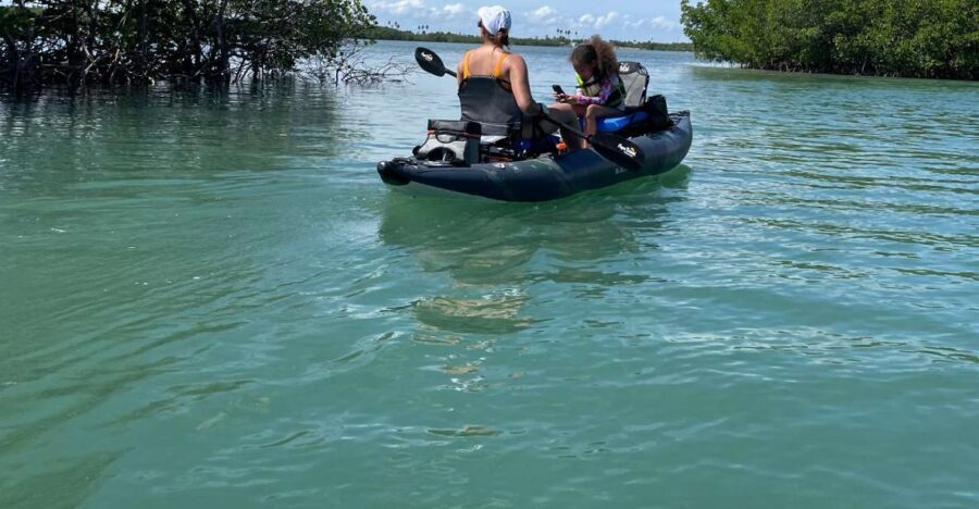 Fort Pierce: 6-hr Mangroves, Coastal Rivers & Wildlife in FL - Final Thoughts: Is It Worth the Price?