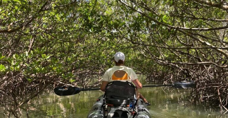 Fort Pierce: Prehistoric Preserve Kayak Tour - A Deep Dive into the Fort Pierce Prehistoric Preserve Kayak Tour