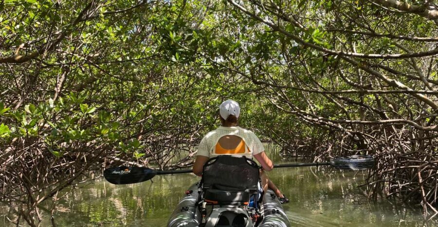 Fort Pierce: Prehistoric Preserve Kayak Tour - A Deep Dive into the Fort Pierce Prehistoric Preserve Kayak Tour