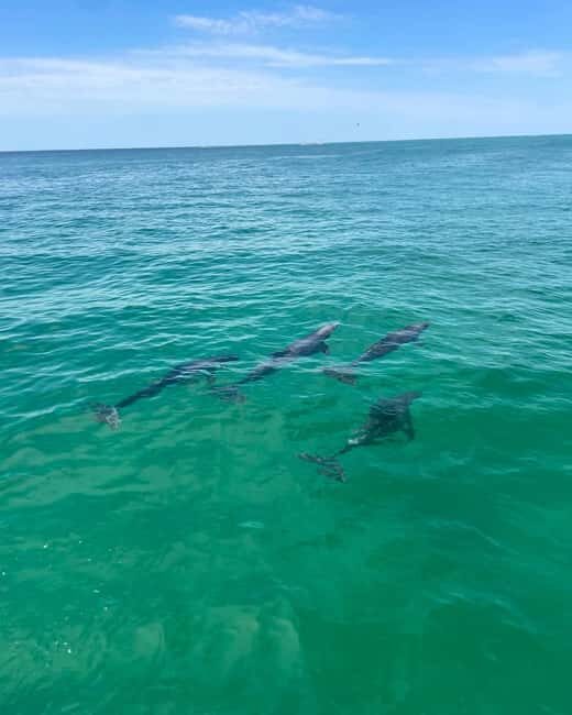 Fort Walton Beach: Emerald Coast 2-hour Dolphin Cruise - Final Summary