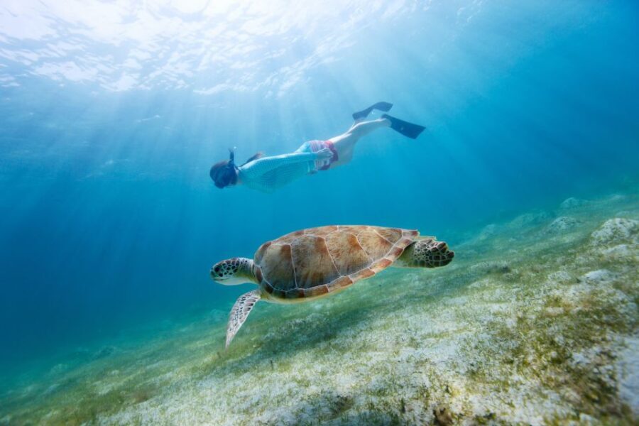 Fort Walton Beach: Morning Dolphin Cruise with Snorkel Stop - Who Should Consider This Tour?