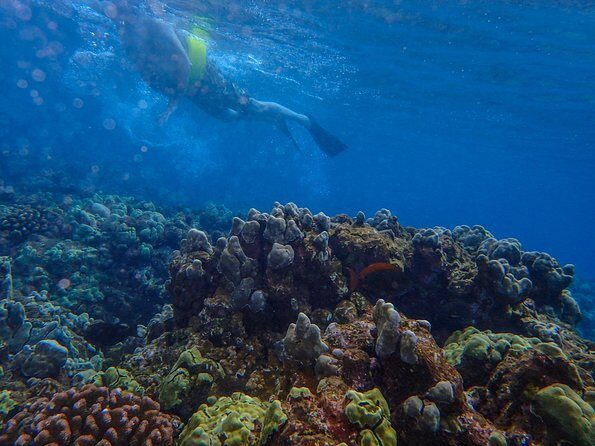 Four Winds Molokini Snorkeling Tour from Maalaea Harbor - Final Thoughts