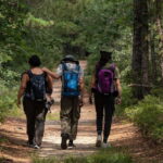 Fox Canyon Adventure Trek: Los Cabos Full-Day Tour - Visiting the Tropic of Cancer