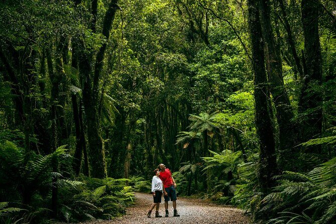 Fox Glacier Nature Tour - Who Should Consider This Tour?