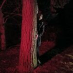Frankfurt: Horror theater with city tour "Nosferatu's Resurrection" - A Deep Dive into the "Nosferatu’s Resurrection" Experience