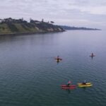 Frankston: Port Phillip Bay Water Bike Tour - How This Tour Stacks Up on Value