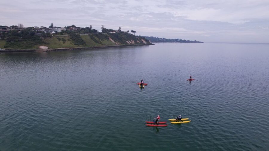 Frankston: Port Phillip Bay Water Bike Tour - How This Tour Stacks Up on Value