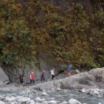 Franz Josef: Franz Josef Glacier Lookout Guided Walk - Authentic Reviews and Perspectives