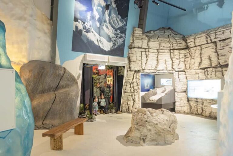 Franz Josef: West Coast Wildlife Centre Entry Ticket - An In-Depth Look at the West Coast Wildlife Centre Experience