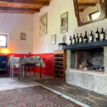 Frascati: Vineyard Wine Tasting Tour with Snacks - A Detailed Look at the Experience