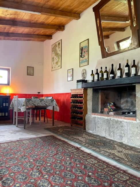 Frascati: Vineyard Wine Tasting Tour with Snacks - A Detailed Look at the Experience