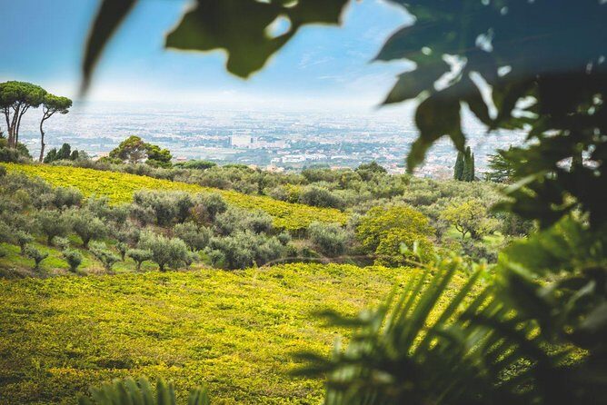 Frascati Wine Tasting Tour: The Flavors of the Roman Countryside - Exploring the Frascati Wine Tasting Tour in Detail