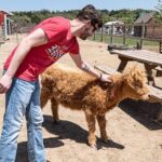 Fredericksburg Cow Cuddling - Final Thoughts: Who Should Consider It?