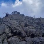 Freiburg: Climbing Course in the Black Forest - FAQs
