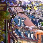 Freiburg: Gässle, Bächle and More City Tour - Authentic Experiences and Practical Insights
