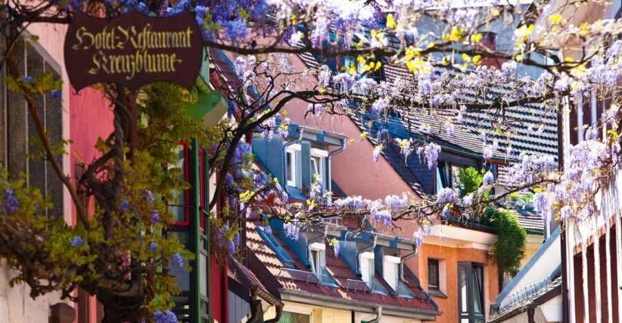 Freiburg: Gässle, Bächle and More City Tour - Authentic Experiences and Practical Insights