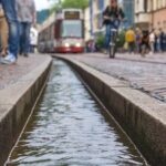 Freiburg in Breisgau Scavenger Hunt and Sights Self-Guided Tour - What could be a drawback?