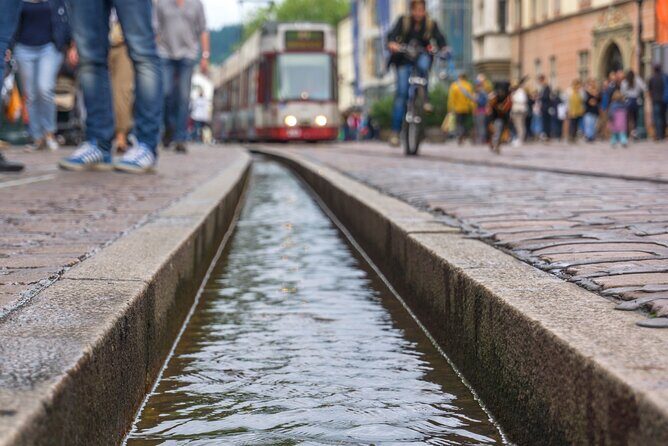 Freiburg in Breisgau Scavenger Hunt and Sights Self-Guided Tour - What could be a drawback?