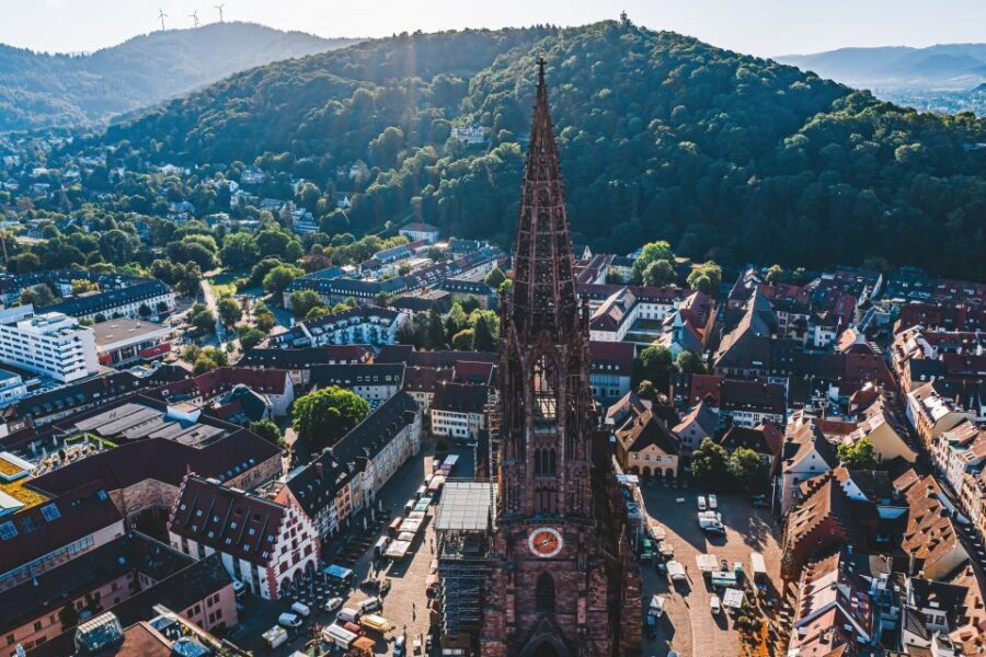 Freiburg: Veni, vidi, vino - wine hike and tasting - The Authenticity and Educational Value