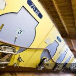 Fréjus: Cave tour and wine tasting - The Details of the Experience