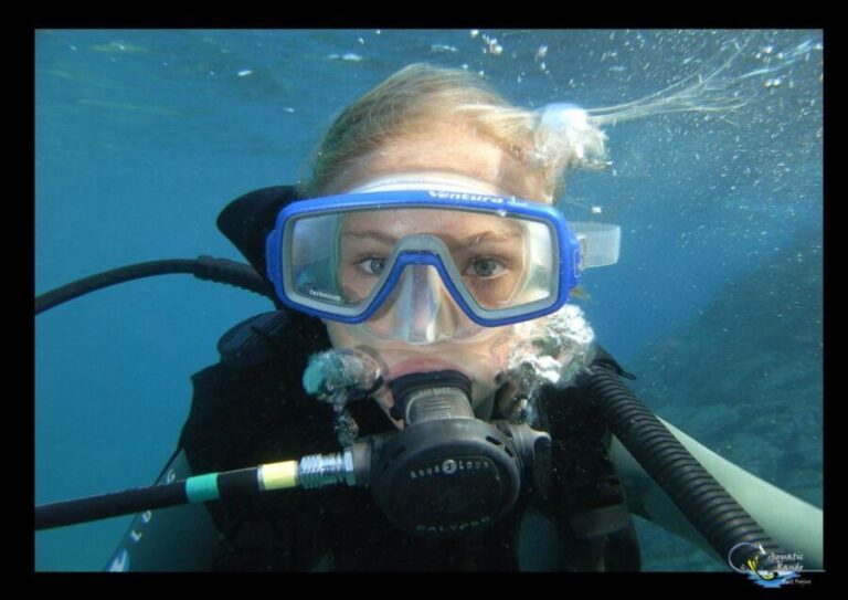 Fréjus: Diving Experience in Port-Fréjus with an Instructor - In-Depth Breakdown of the Experience