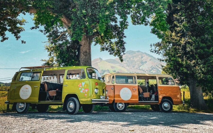 French Basque Country Private Day Tour in an 70's VW Combi - The Experience in Context