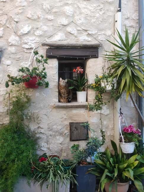 French Riviera Full Day Tour - FAQ