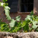 French Riviera: Provencal Wine Tour - The Value of the Tour