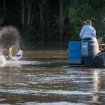 Freshwater or Saltwater Barramundi Fishing Day Trip from Darwin - Final Thoughts: Is This the Right Trip for You?