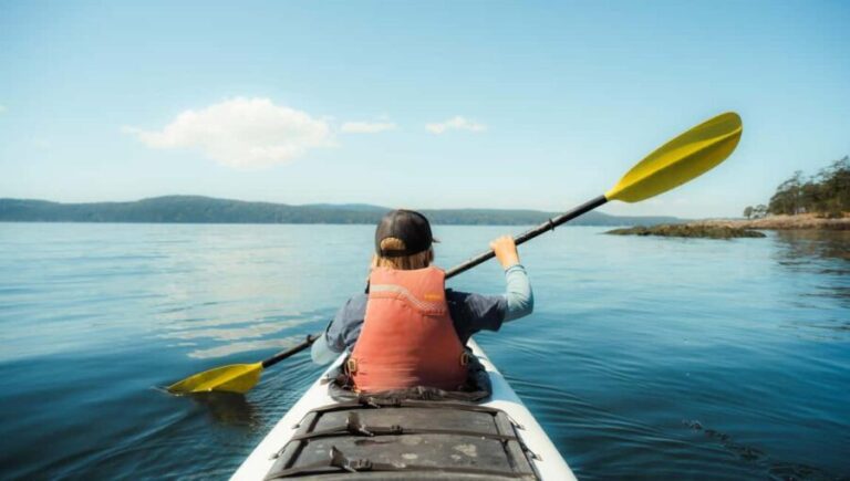 Friday Harbor: Half-Day Family Kayaking and Hiking Tour - The Kayaking Experience