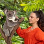 Friends in the Rainforest Package: Koala Gardens & Birdworld - The Experience in Detail
