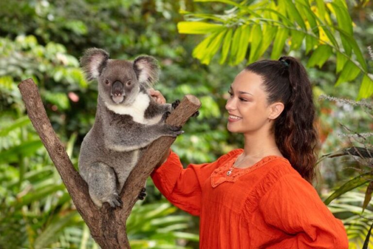 Friends in the Rainforest Package: Koala Gardens & Birdworld - The Experience in Detail