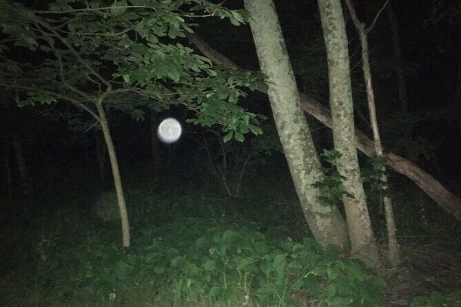 Fright Night Investigation - Small Group Gettysburg - Who Should Consider This Tour?