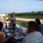From Abano Montegrotto, Wine Tour in the Euganean Hills - Food and Tasting: A Feast for the Senses