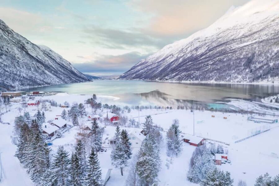 From Abisko: Narvik City and Fjord Day Trip - Practical Information