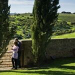 From Adelaide: Boutique McLaren Vale Wine Tour with Lunch - An In-Depth Look at the Experience