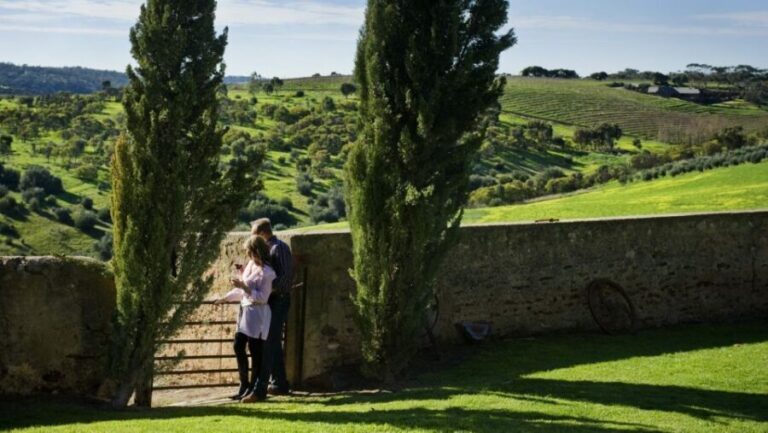 From Adelaide: Boutique McLaren Vale Wine Tour with Lunch - An In-Depth Look at the Experience