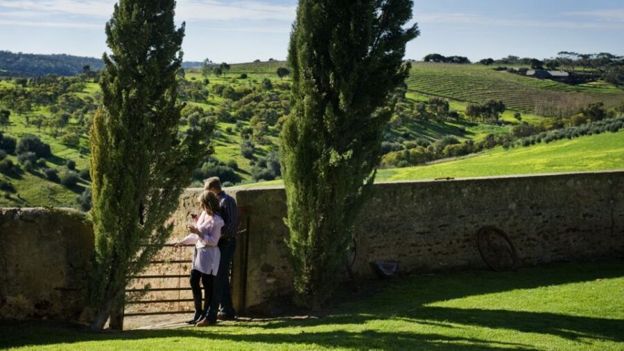 From Adelaide: Boutique McLaren Vale Wine Tour with Lunch - An In-Depth Look at the Experience